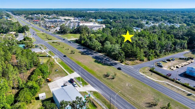 4799 SE 106th Place Rd, Belleview, FL 34420 - photo 4