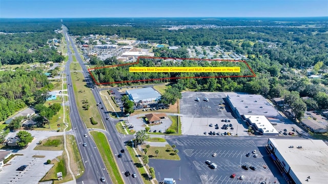 4799 SE 106th Place Rd, Belleview, FL 34420 - photo 2