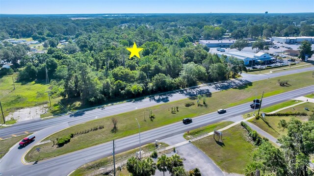 4799 SE 106th Place Rd, Belleview, FL 34420 - photo 1