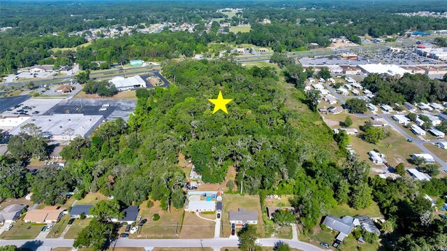 4799 SE 106th Place Rd, Belleview, FL 34420 - photo 6