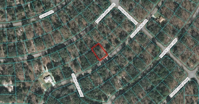 00 Guava Place Dr, Ocklawaha FL, 32179 land for sale