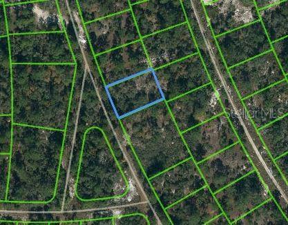 387 Blue Horizon Dr, Lake Placid FL, 33852 land for sale
