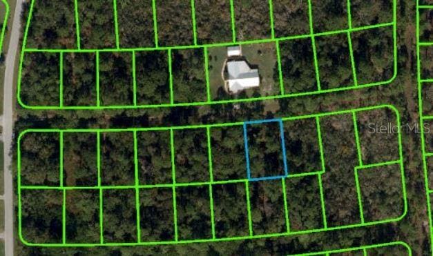 225 Caswell Ln, Lake Placid FL, 33852 land for sale