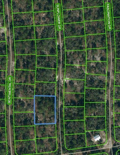 244 Sunflower Dr, Lake Placid FL, 33852 land for sale