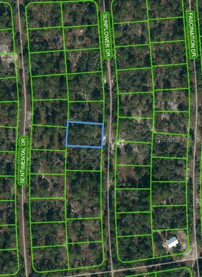 256 Sunflower Ave, Lake Placid FL, 33852 land for sale