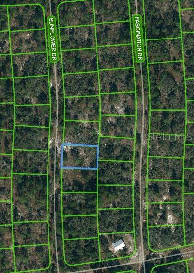 253 Sunflower Ave, Lake Placid FL, 33852 land for sale