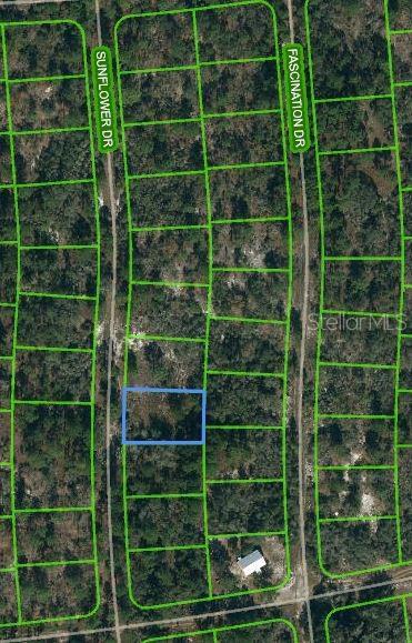 249 Sunflower Ave, Lake Placid FL, 33852 land for sale