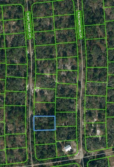 245 Sunflower Ave, Lake Placid FL, 33852 land for sale