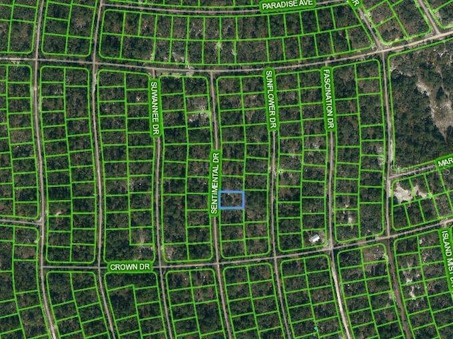 249 Sentimental Dr, Lake Placid FL, 33852 land for sale