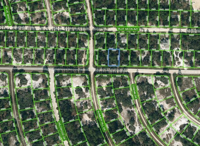384 Jack Weisser Blvd, Lake Placid FL, 33852 land for sale