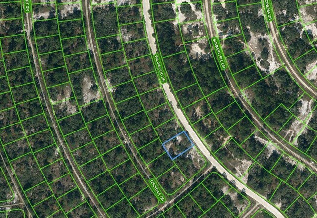 354 Wildwood Dr, Lake Placid FL, 33852 land for sale