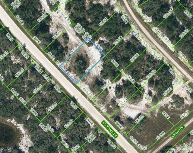 269 Hopedale Dr, Lake Placid FL, 33852 land for sale