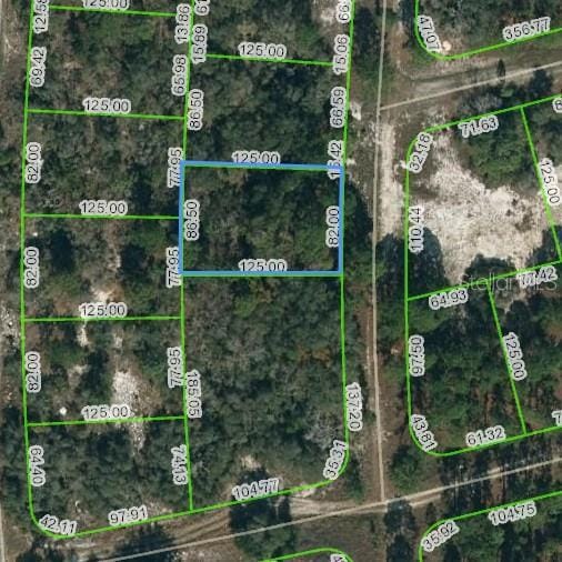 244 Blue Horizon Dr, Lake Placid FL, 33852 land for sale