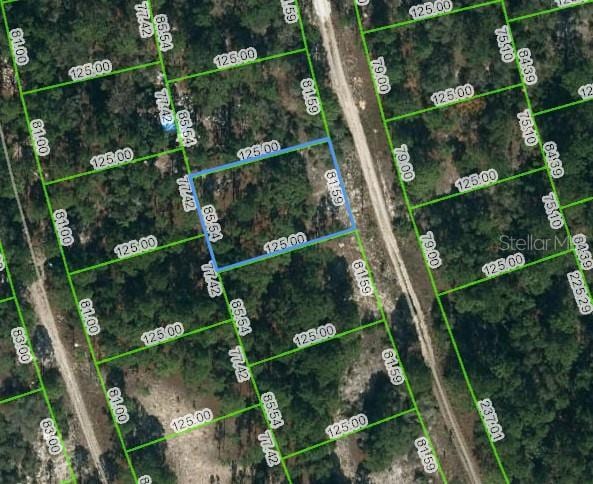 210 Fascination Dr, Lake Placid FL, 33852 land for sale