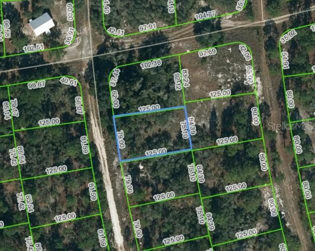 221 Fascination Dr, Lake Placid FL, 33852 land for sale
