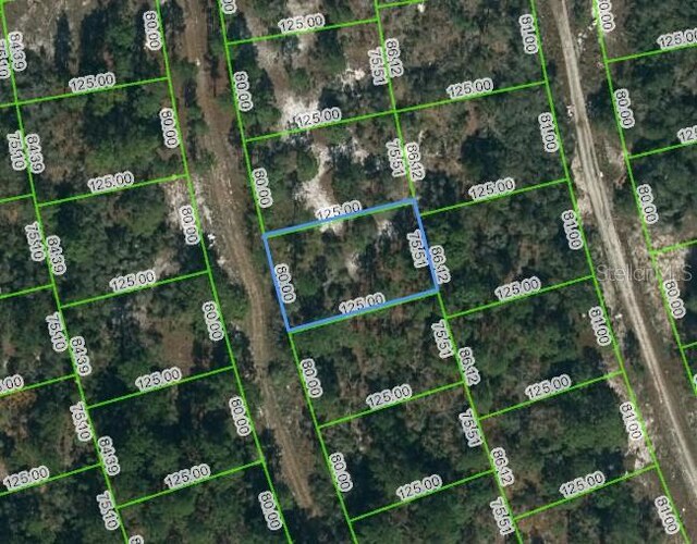217 Blue Horizon Dr, Lake Placid FL, 33852 land for sale