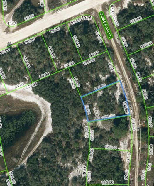 130 Summer Oak Ct, Lake Placid FL, 33852 land for sale
