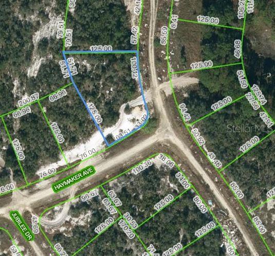 124 Summer Oak Ct, Lake Placid FL, 33852 land for sale