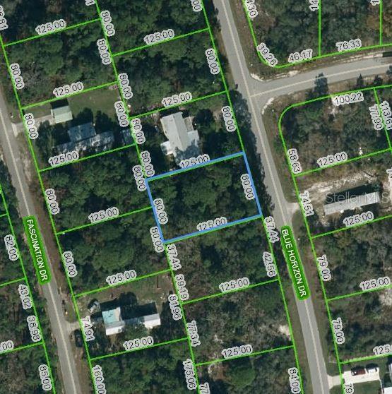 112 Blue Horizon Dr, Lake Placid FL, 33852 land for sale
