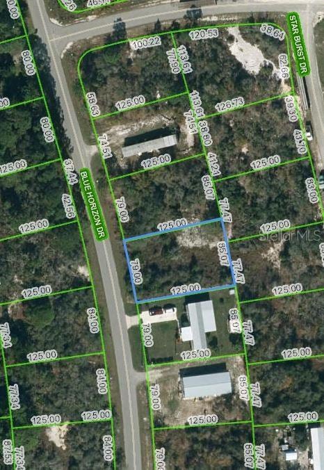 109 Blue Horizon Dr, Lake Placid FL, 33852 land for sale