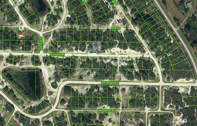 464 Blue Moon Ave, Lake Placid FL, 33852 land for sale
