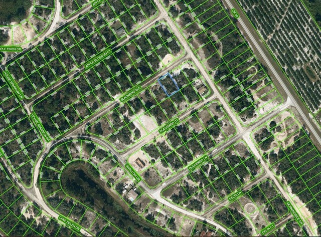 455 Blackbird Ave, Lake Placid FL, 33852 land for sale