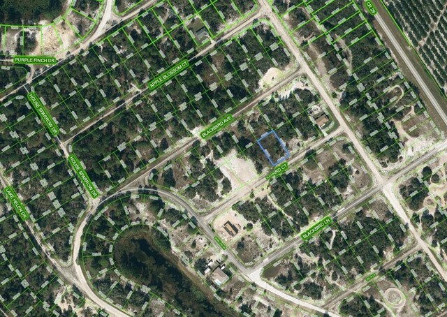452 Blackbird Ct, Lake Placid FL, 33852 land for sale
