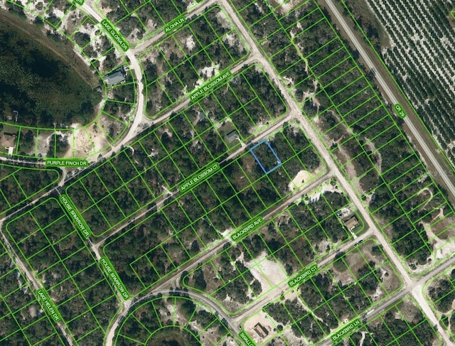 455 Apple Blossom Ct, Lake Placid FL, 33852 land for sale