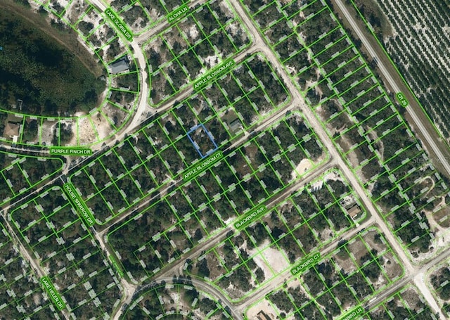 448 Apple Blossom Ct, Lake Placid FL, 33852 land for sale