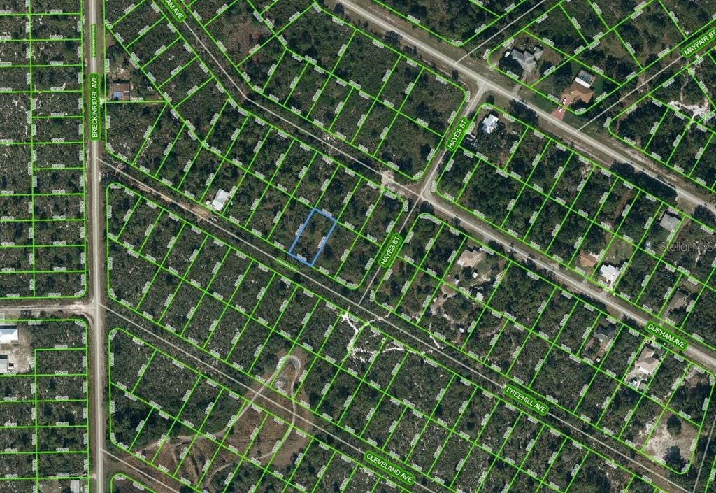 1034 Freehill Ave, Lake Placid, FL 33852 - photo 1