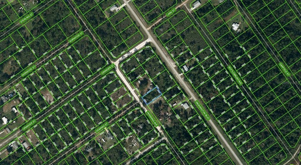 557 Pershing Ave, Lake Placid, FL 33852 - photo 1