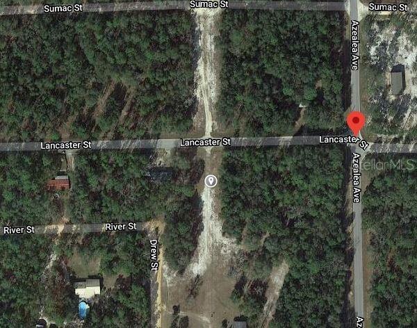 Lancaster St, Interlachen FL, 32148 land for sale