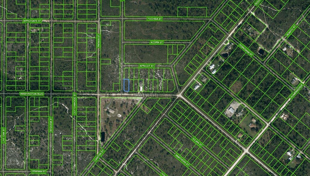 769 Washington Blvd, Lake Placid, FL 33852 - photo 1