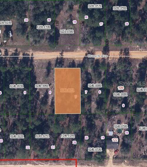 115 Branch Ave, Interlachen FL, 32148 land for sale