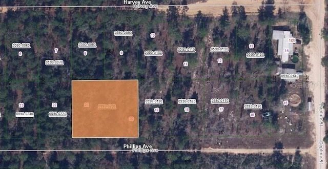 00 Phillips Ave, Interlachen FL, 32148 land for sale