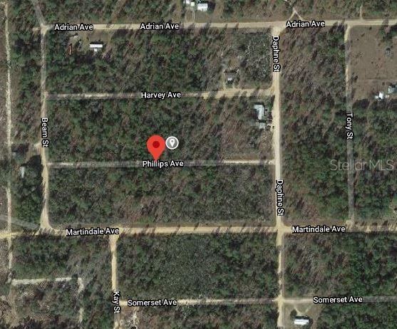 Listing photo 2 for 00 Phillips Ave, Interlachen FL 32148