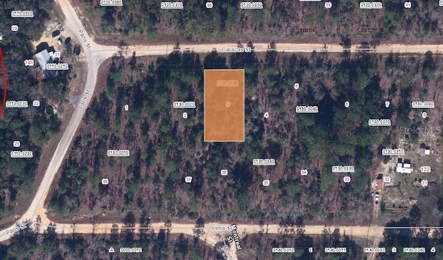 133 Caracas St, Interlachen FL, 32148 land for sale