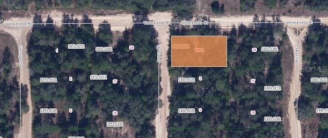 00 Jones St, Interlachen FL, 32148 land for sale