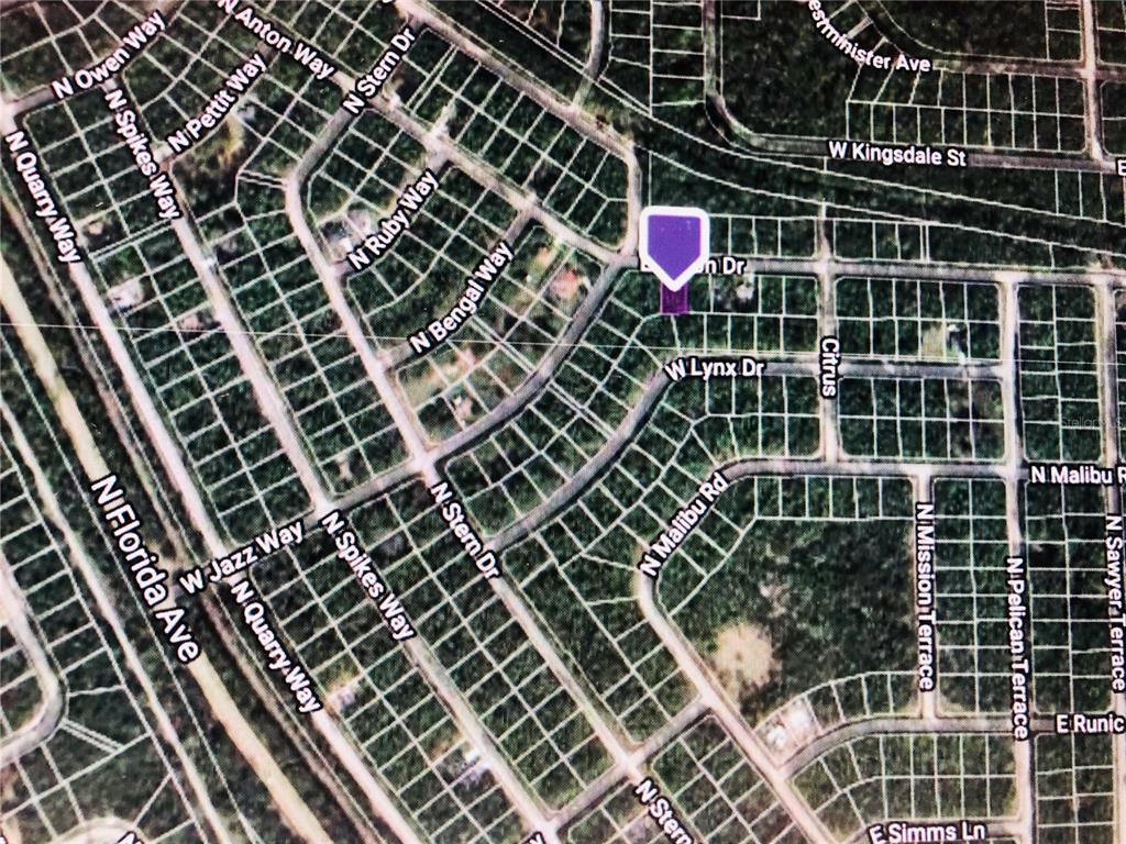 14 E Anton Dr, Citrus Springs, FL 34434 - photo 3