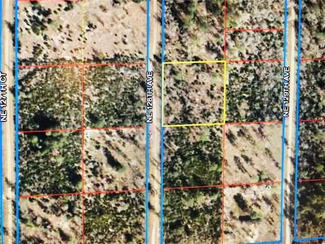 00 NE 128th Ave, Williston FL, 32696 land for sale