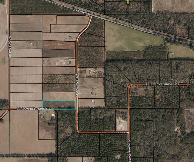 SE Baldwin Dr, Lee FL, 32059 land for sale