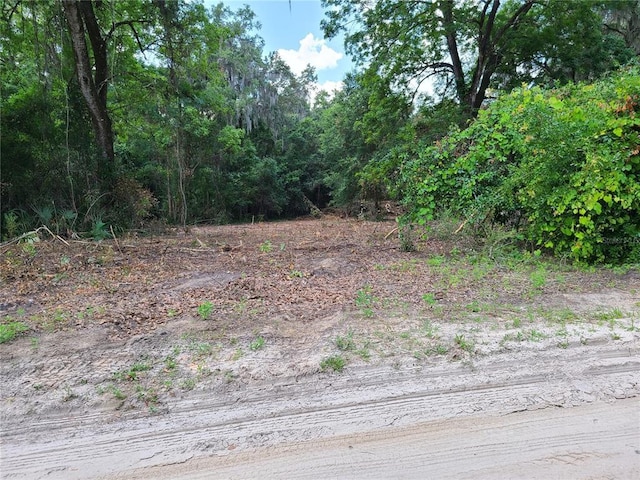 0 SE 95th St, Ocklawaha FL, 32179 land for sale