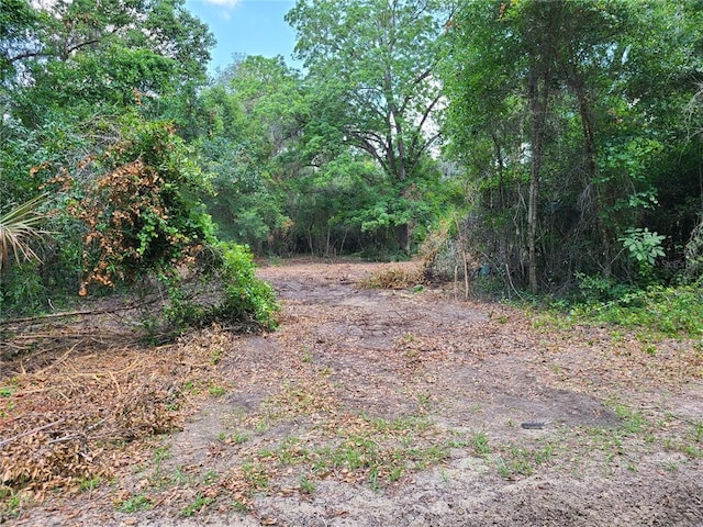 Listing photo 2 for 0 SE 95th St, Ocklawaha FL 32179