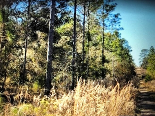 0 NE 148th Ter, Williston FL, 32696 land for sale