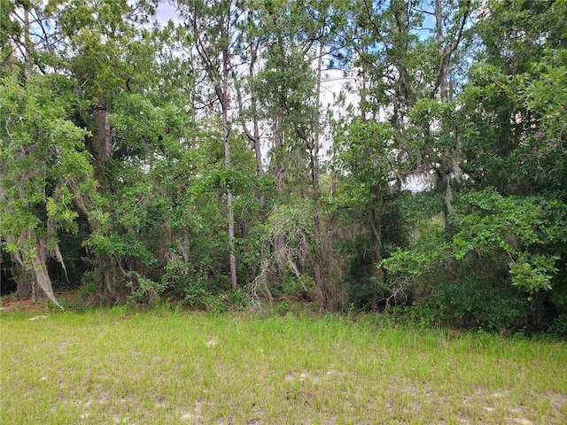 8650 SW 138th Ln, Ocala FL, 34473 land for sale