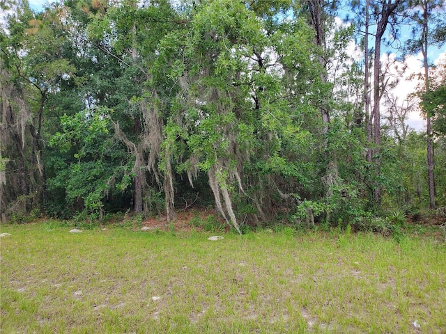 Listing photo 2 for 8650 SW 138th Ln, Ocala FL 34473