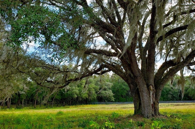 Listing photo 2 for 1077 SW 144th Court Rd, Ocala FL 34481