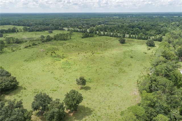 view of bird's eye view