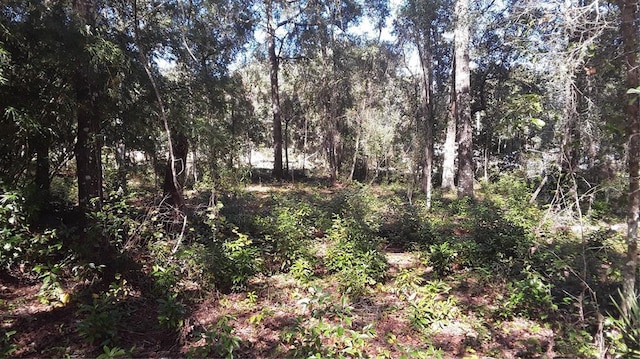 NE 169th Pl, Citra FL, 32113 land for sale