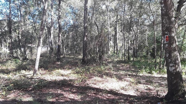 NE 68th Ct, Citra, FL 32113